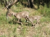 DSCF2487_800