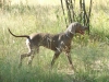 DSCF2491_800