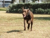 DSCF1602_800