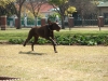 DSCF1619_800