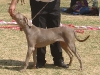 DSC06342_800