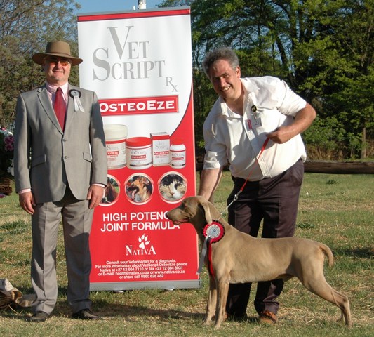 C.C. Dog Ch Sabaka Mist Falcon
